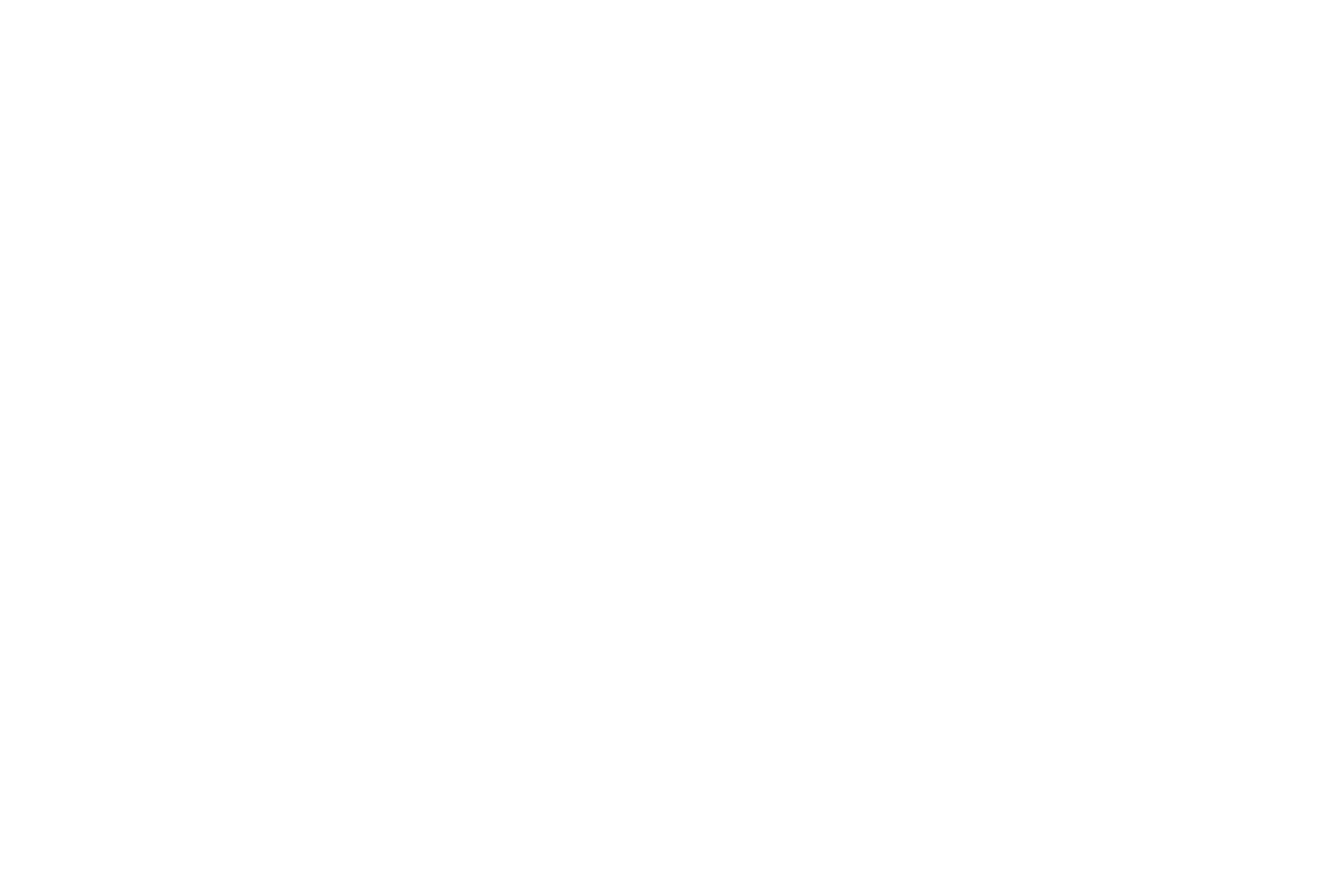 Logo Cliente 13