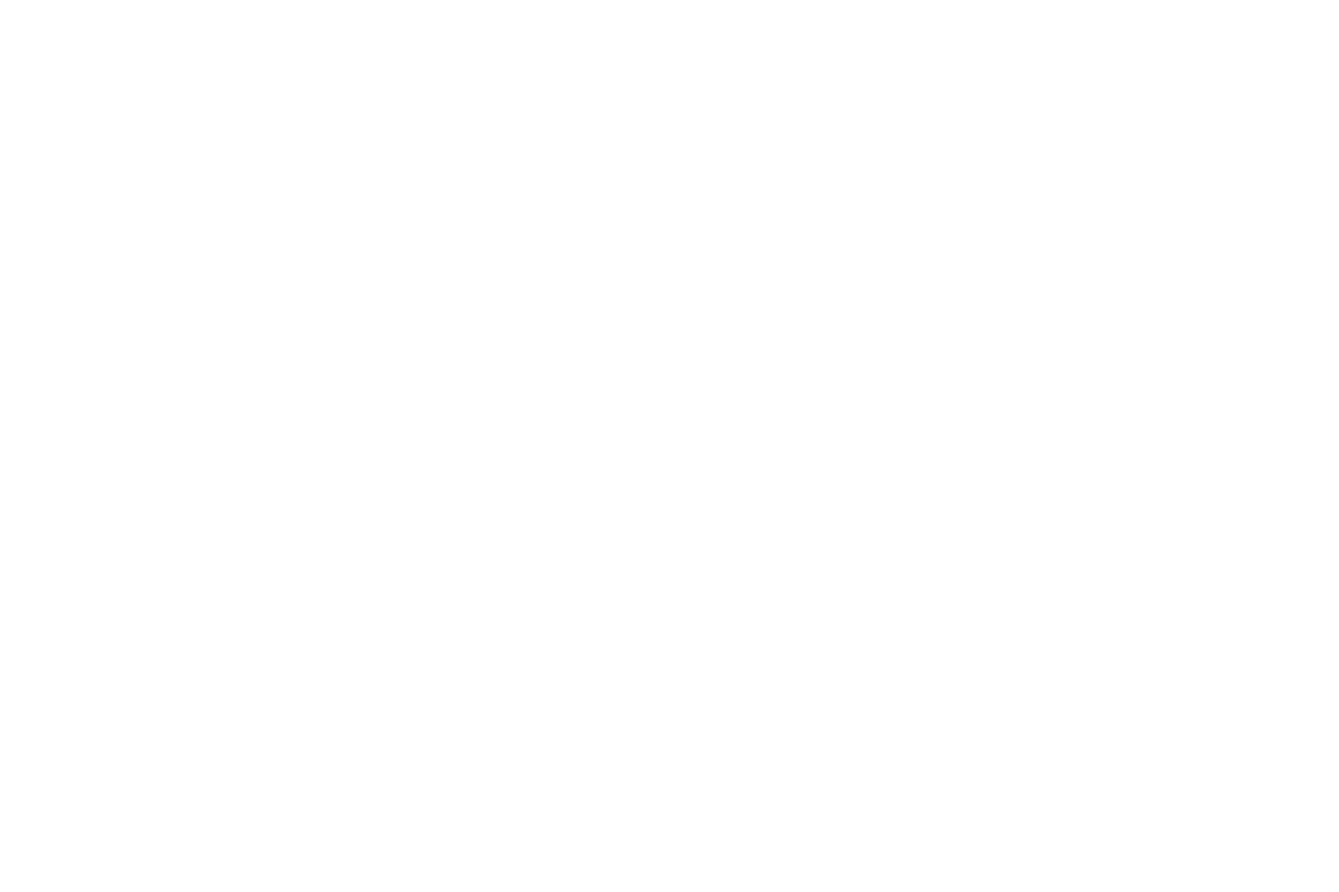 Logo Cliente 2